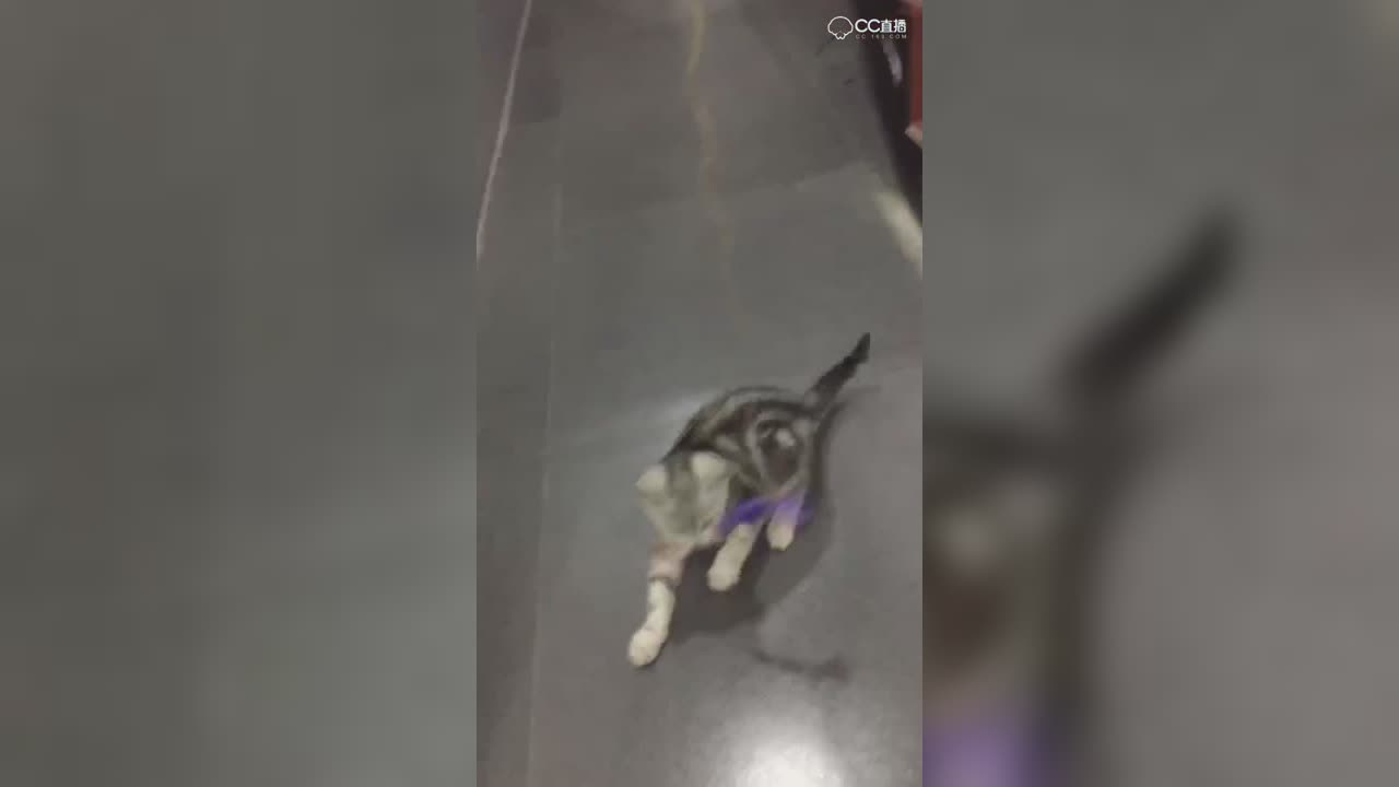 视频封面
