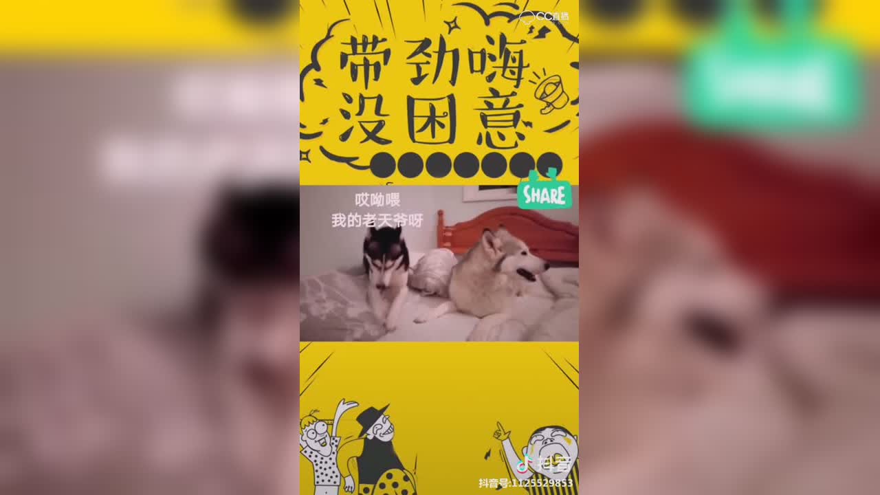 视频封面
