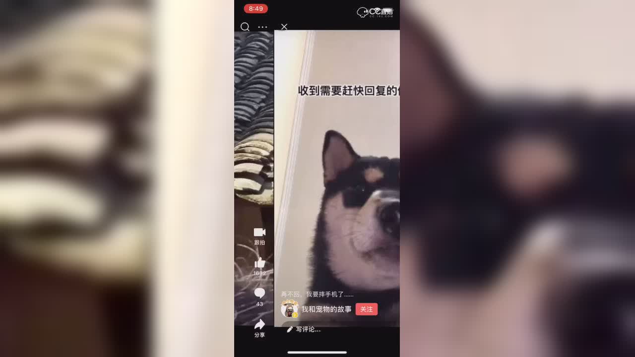 视频封面