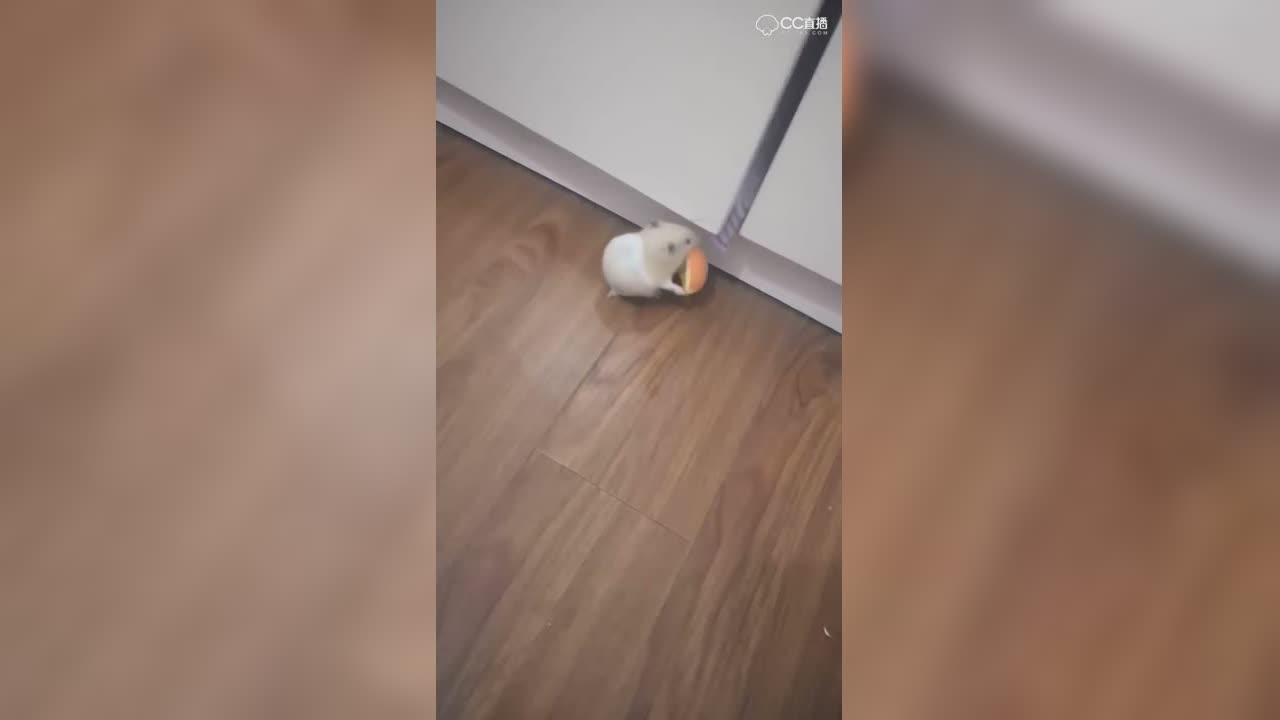 视频封面