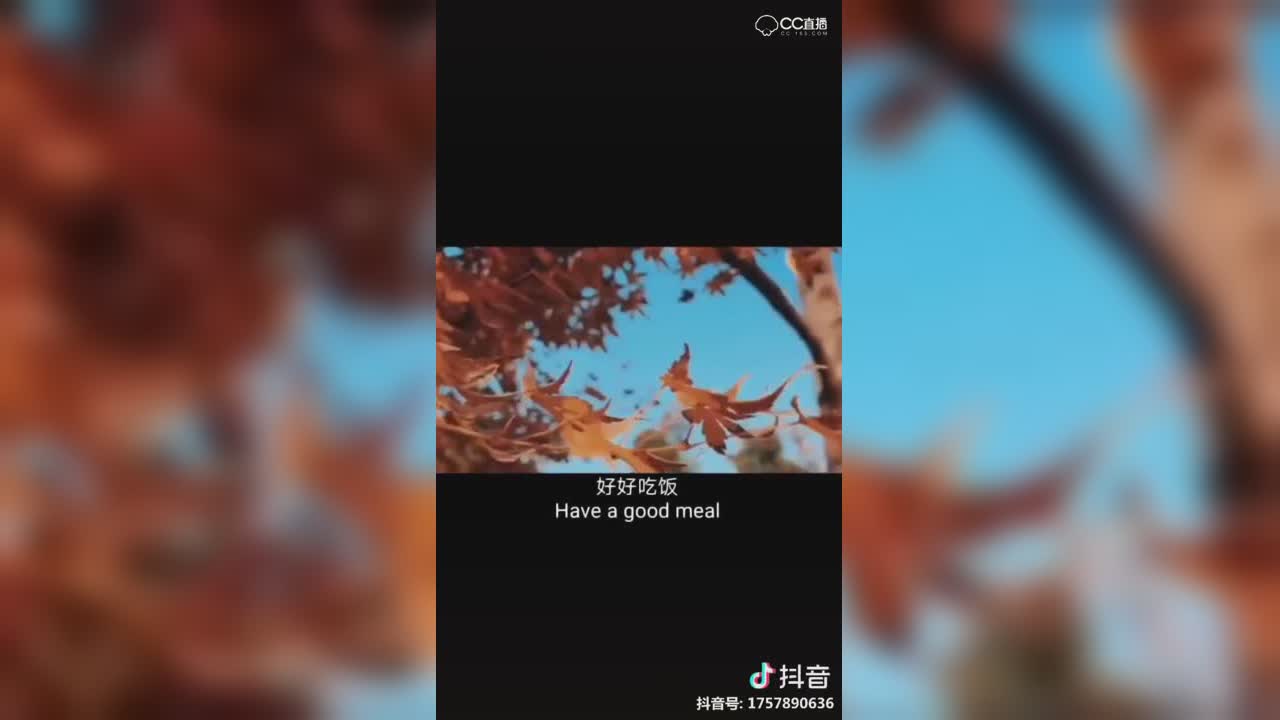 视频封面