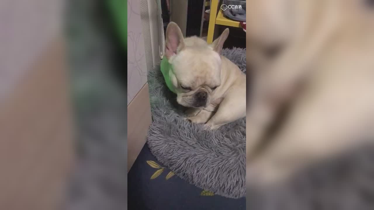 视频封面