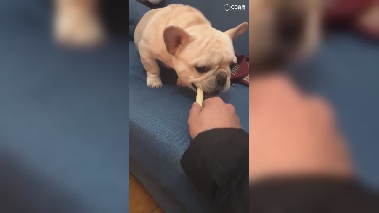 视频封面
