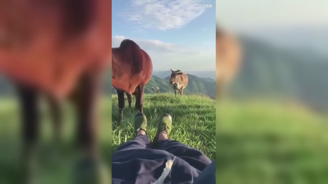 视频封面