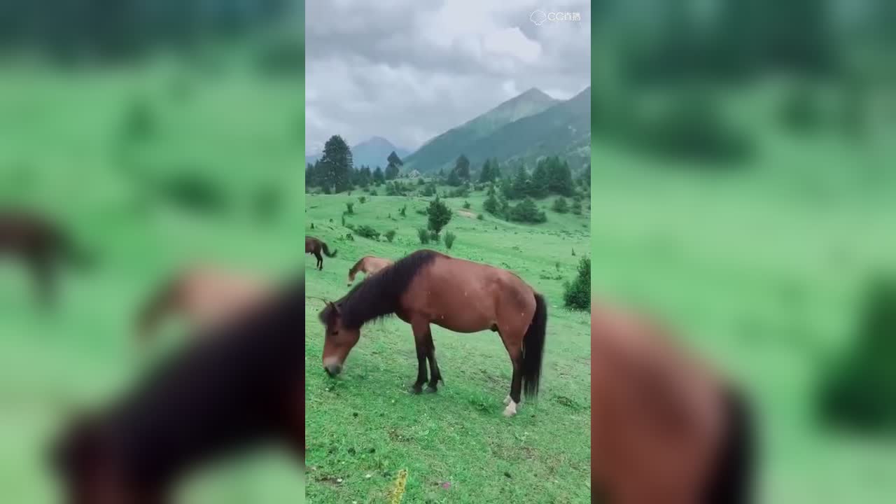 视频封面