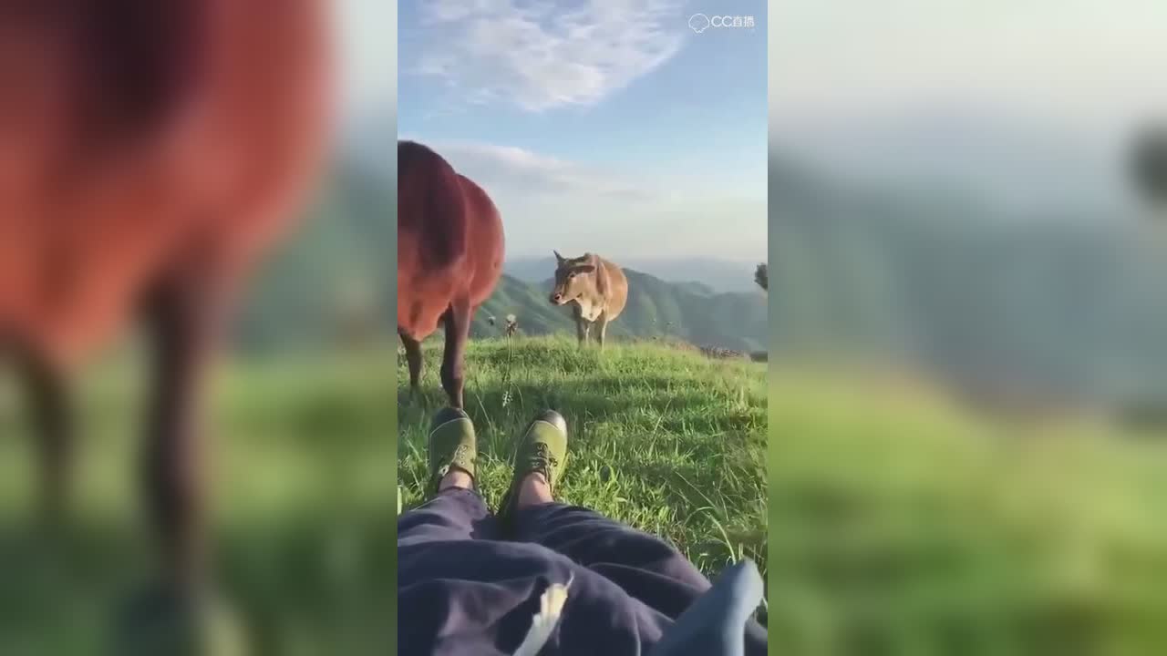 视频封面