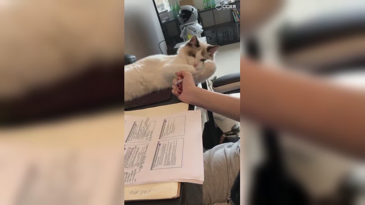 视频封面