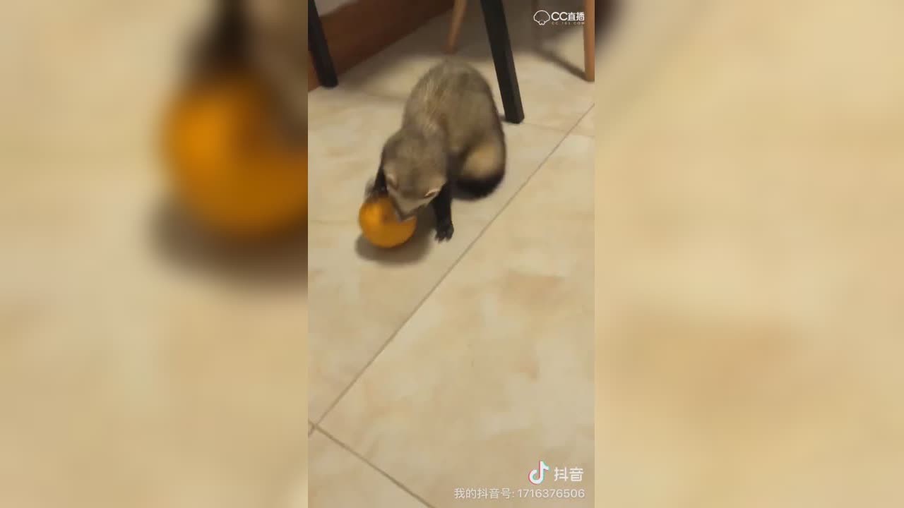 视频封面