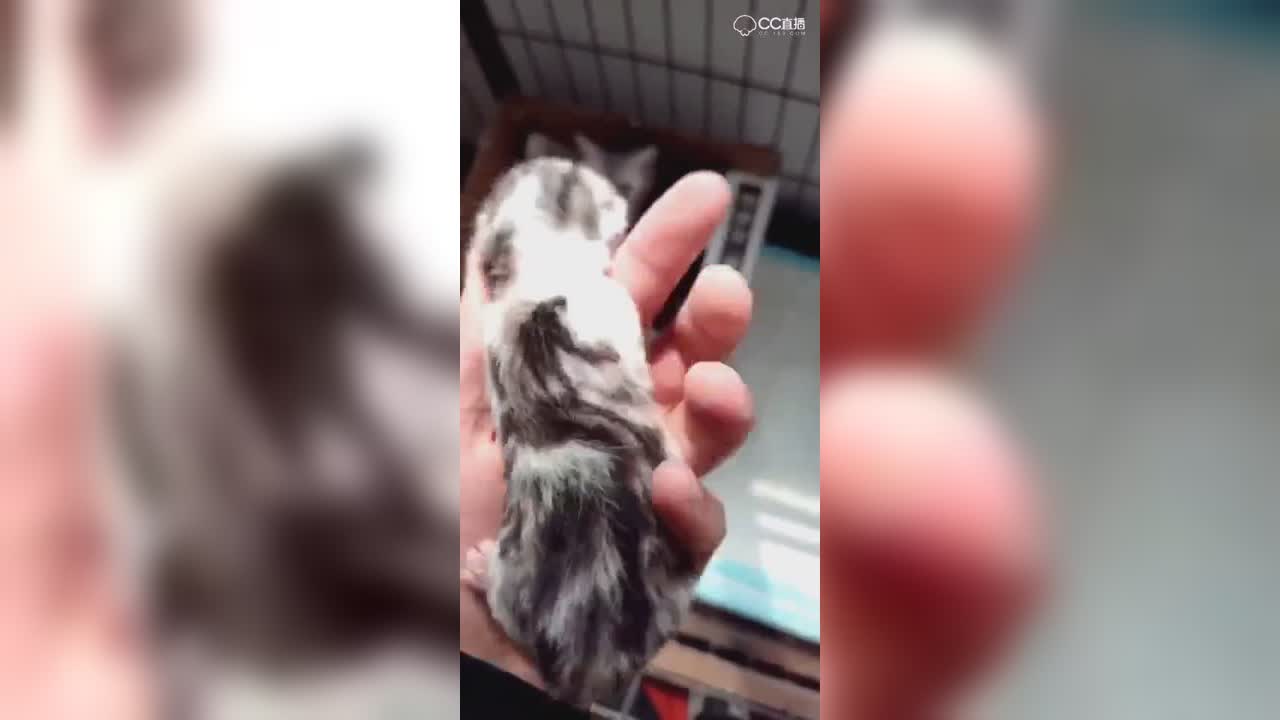 视频封面
