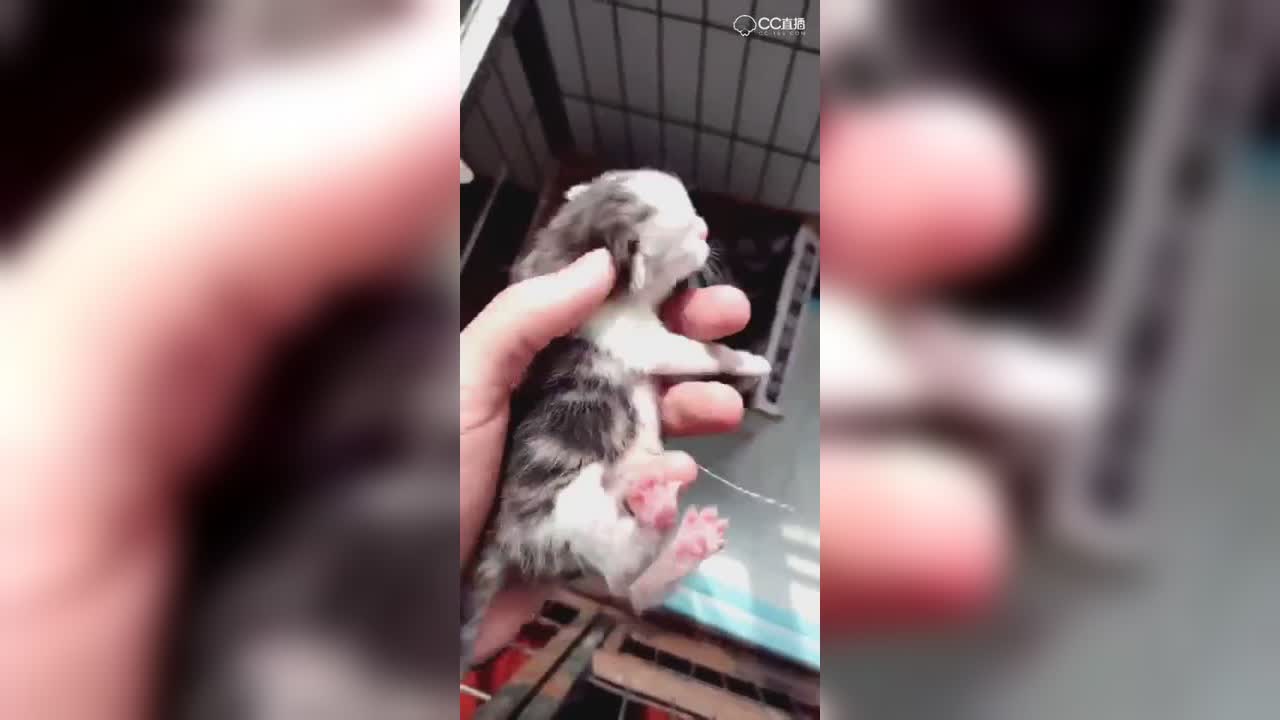 视频封面