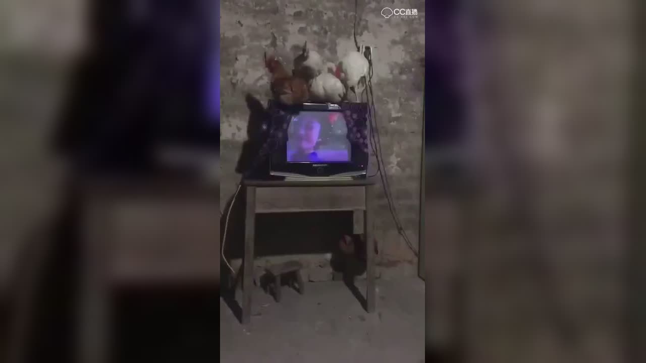 视频封面