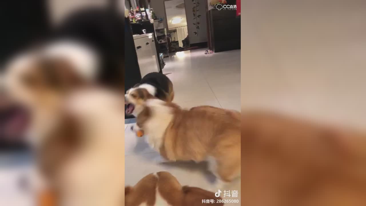 视频封面