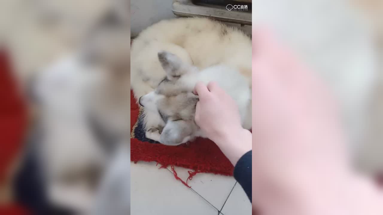视频封面