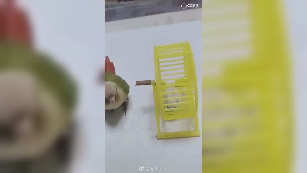 视频封面
