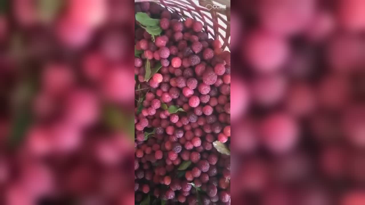 视频封面