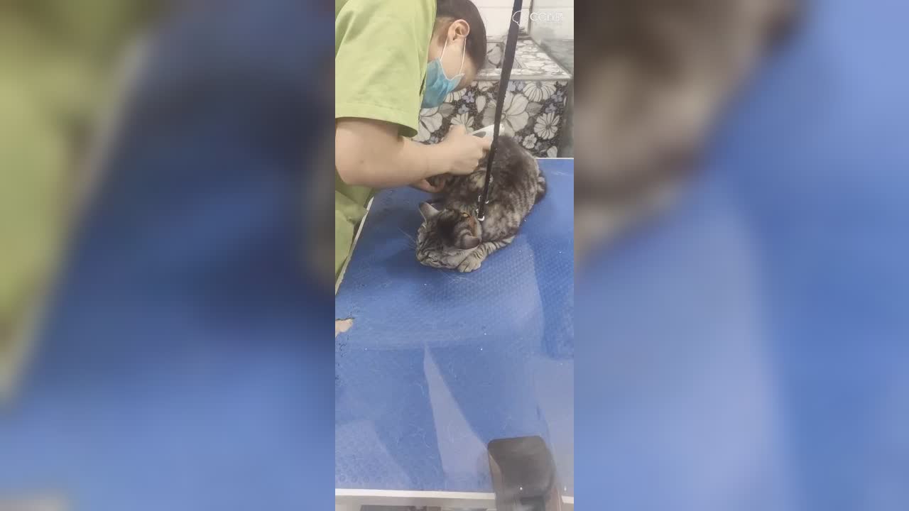 视频封面