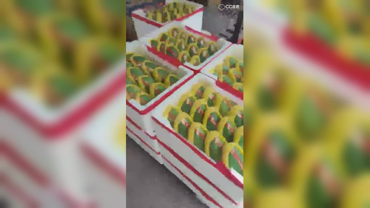 视频封面
