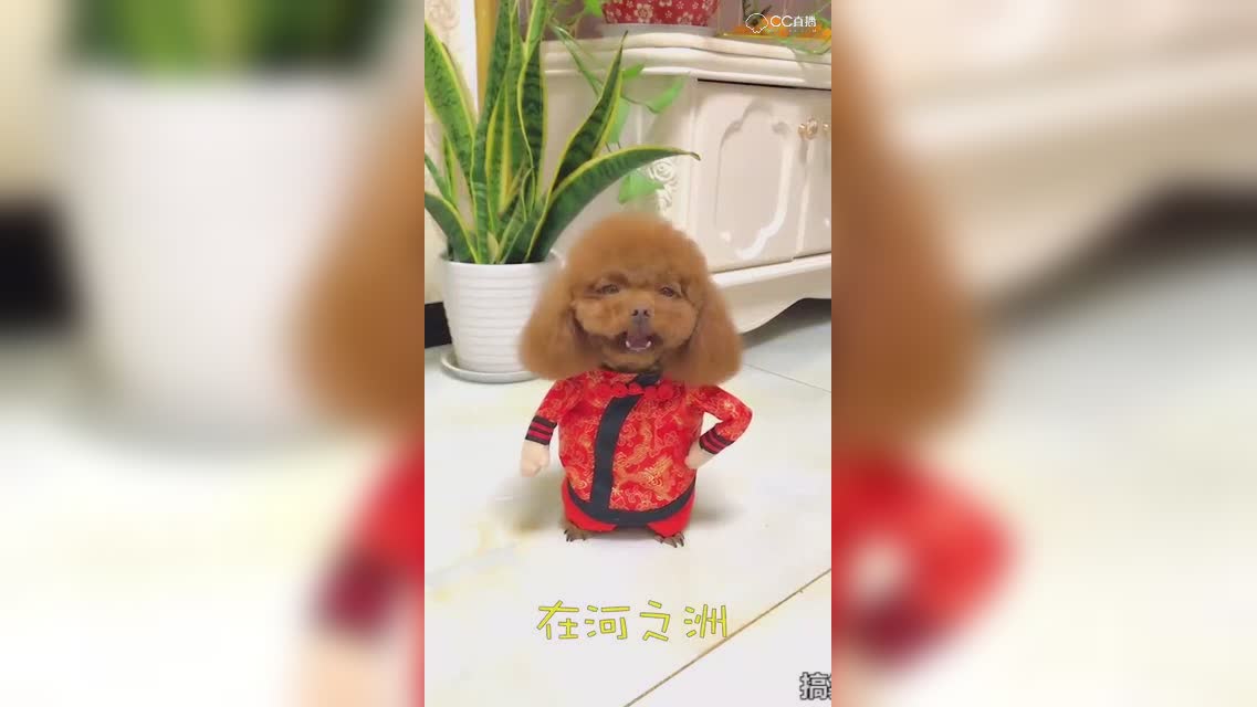 视频封面