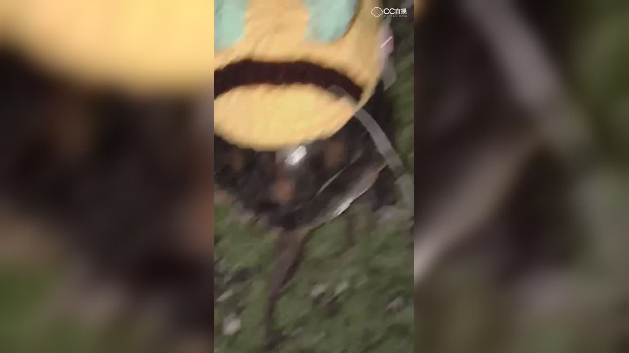 视频封面