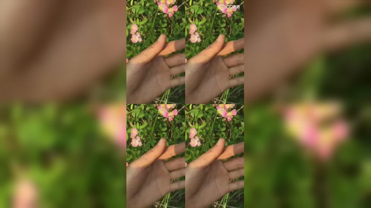 视频封面