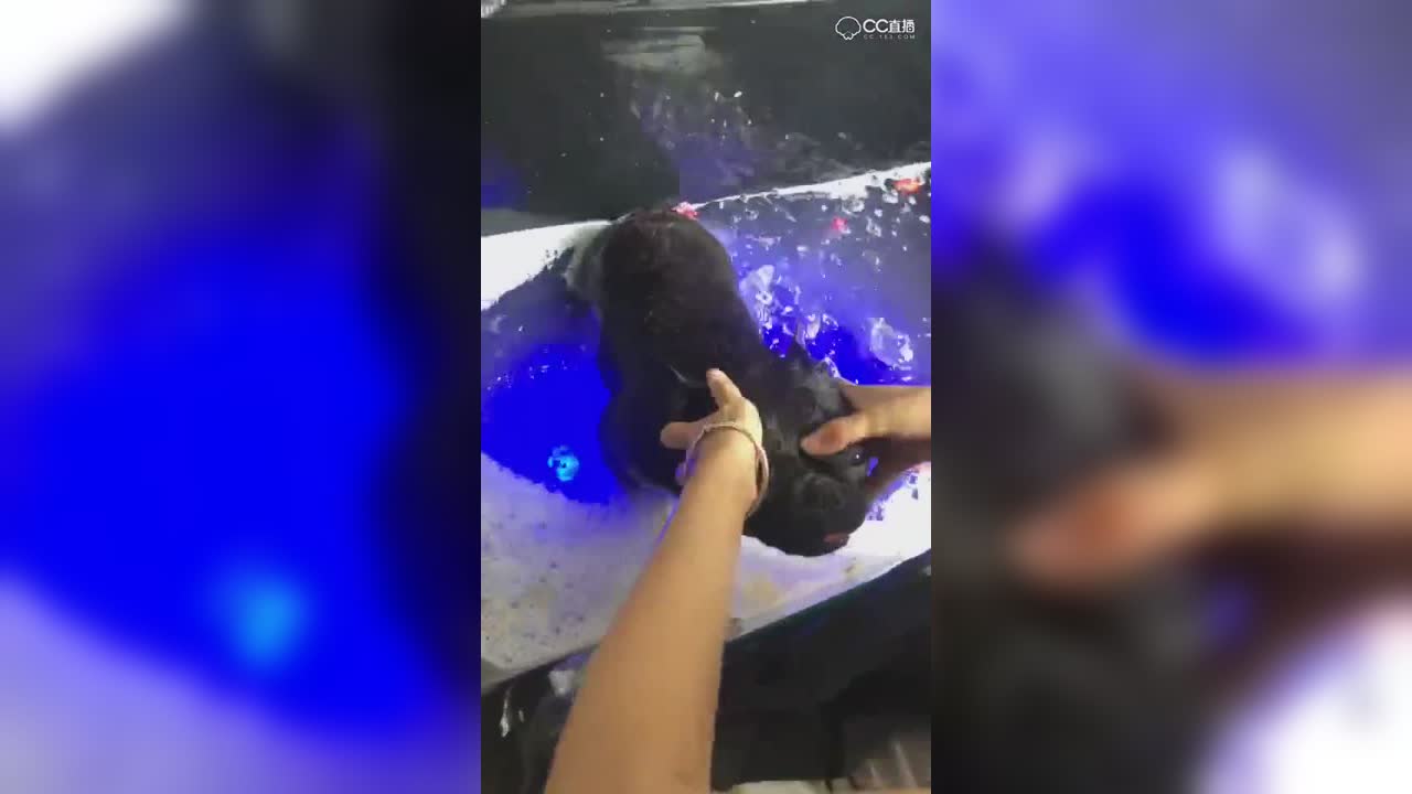 视频封面