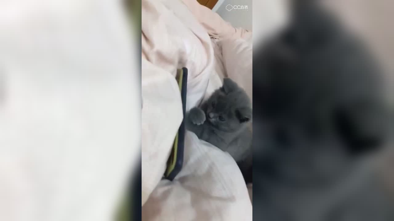 视频封面