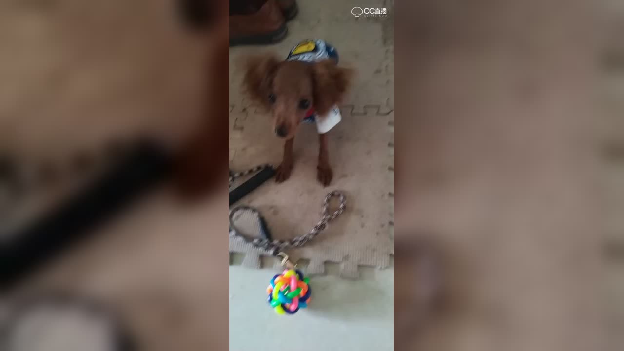 视频封面