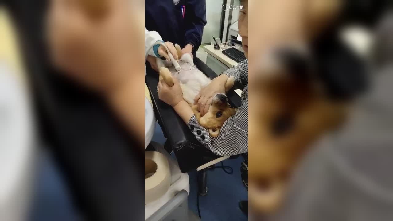 视频封面