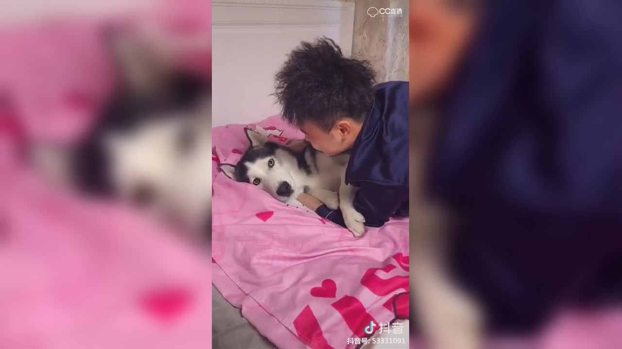 视频封面