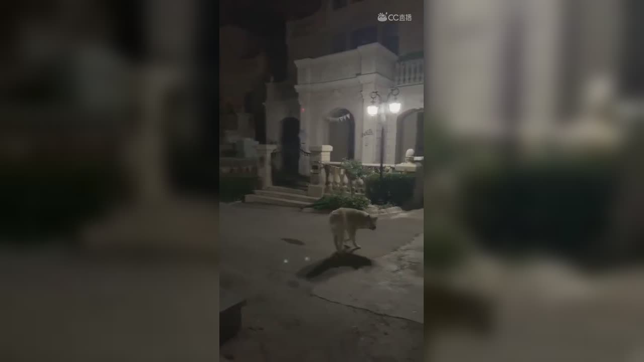 视频封面