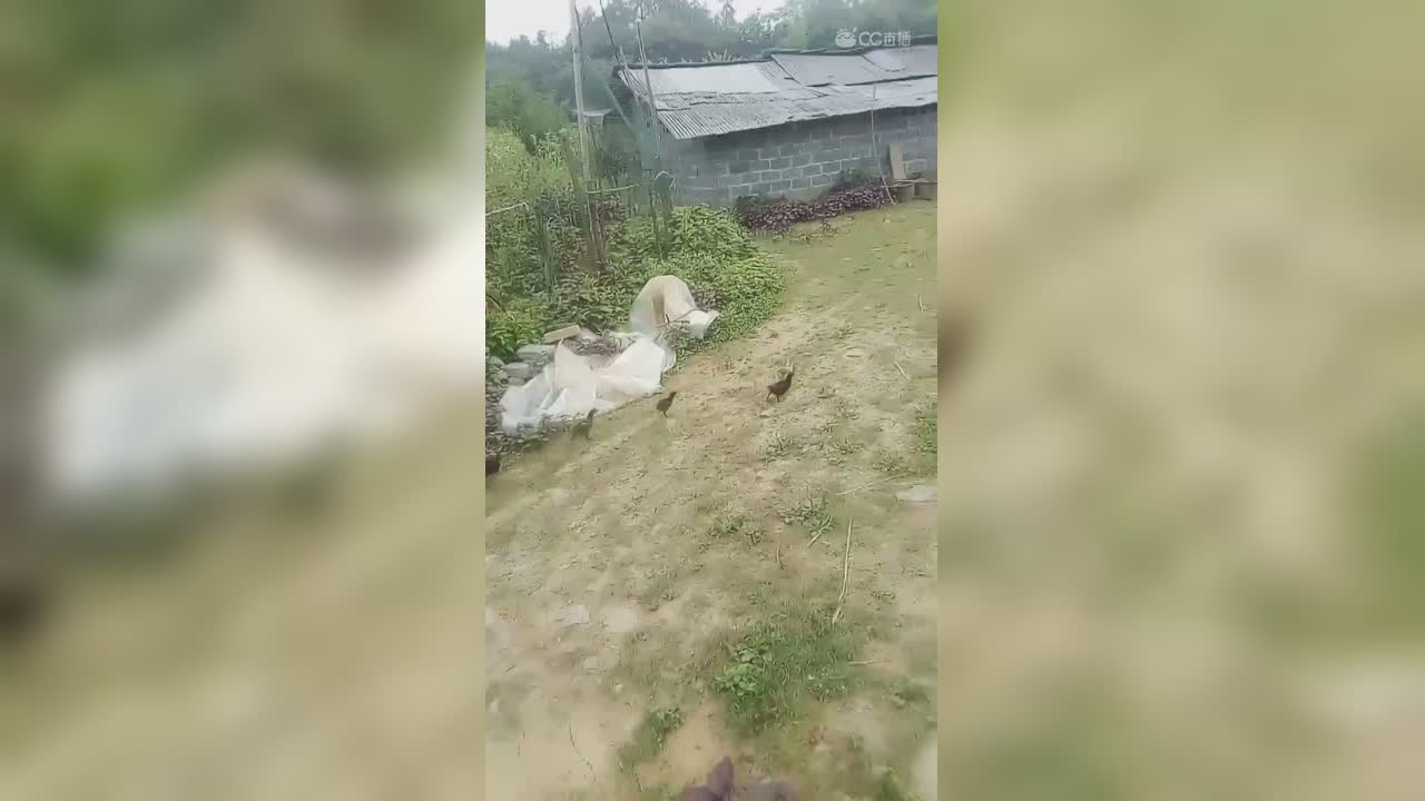 视频封面