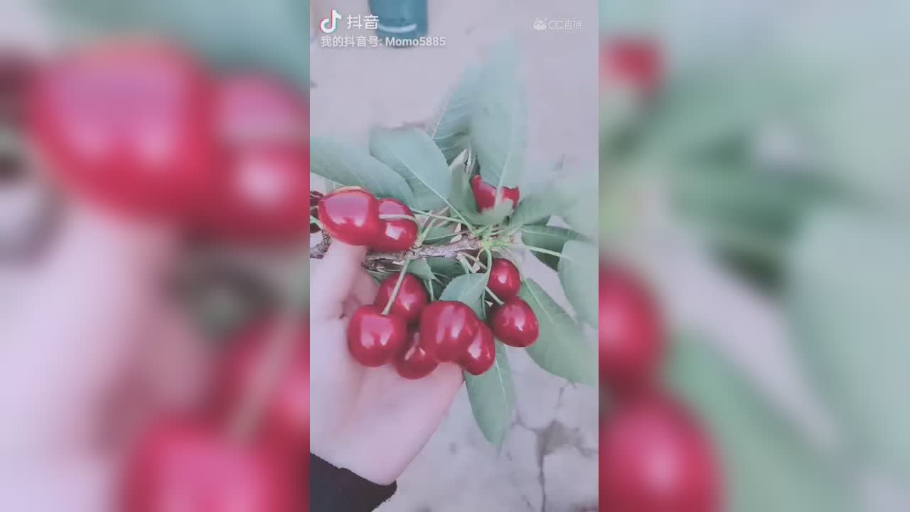 视频封面