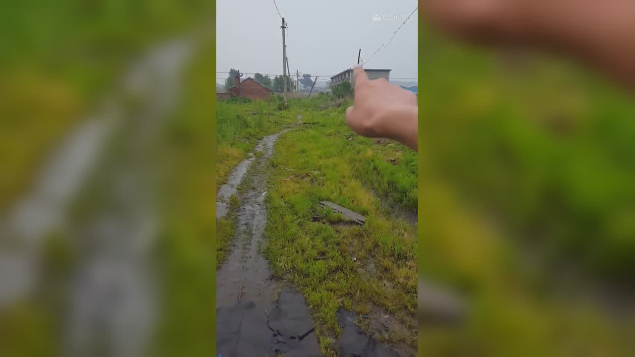 视频封面