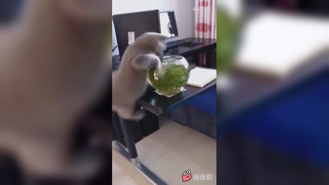 视频封面