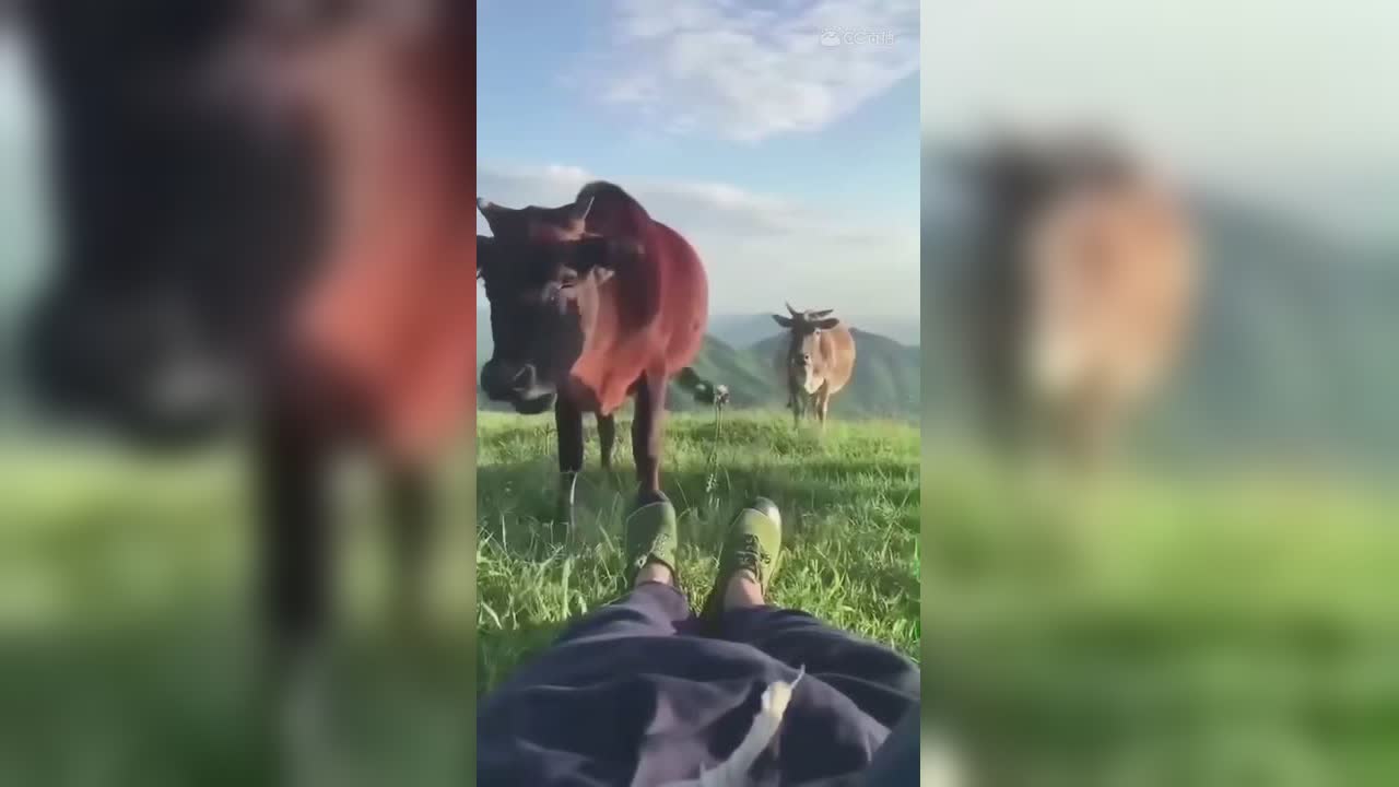 视频封面