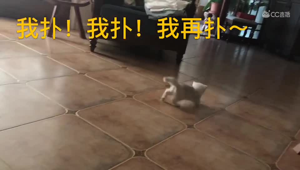 视频封面