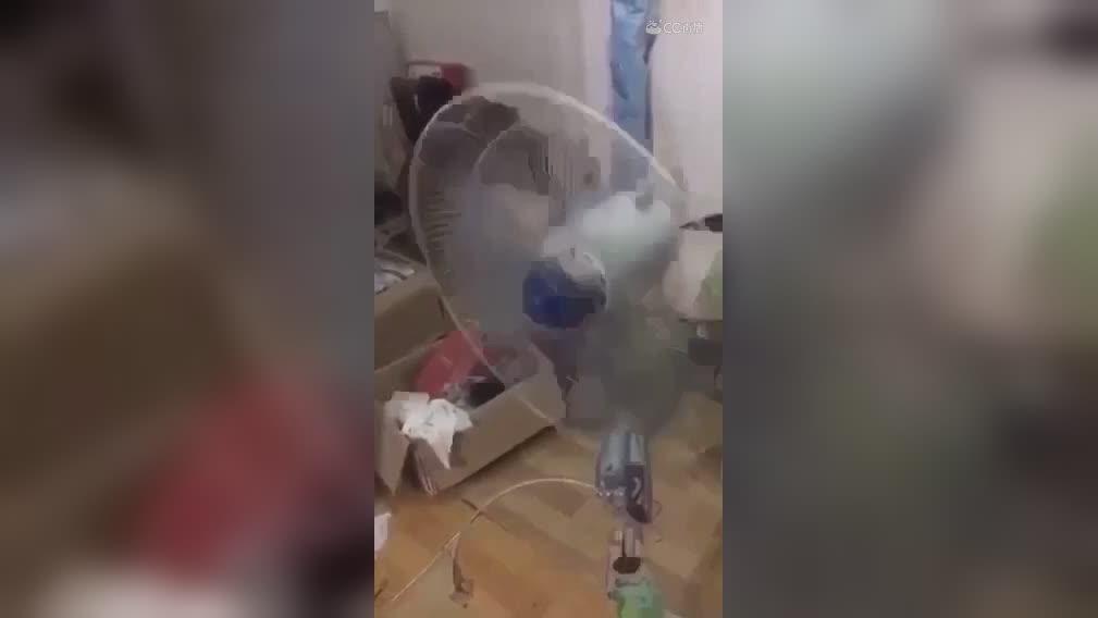 视频封面