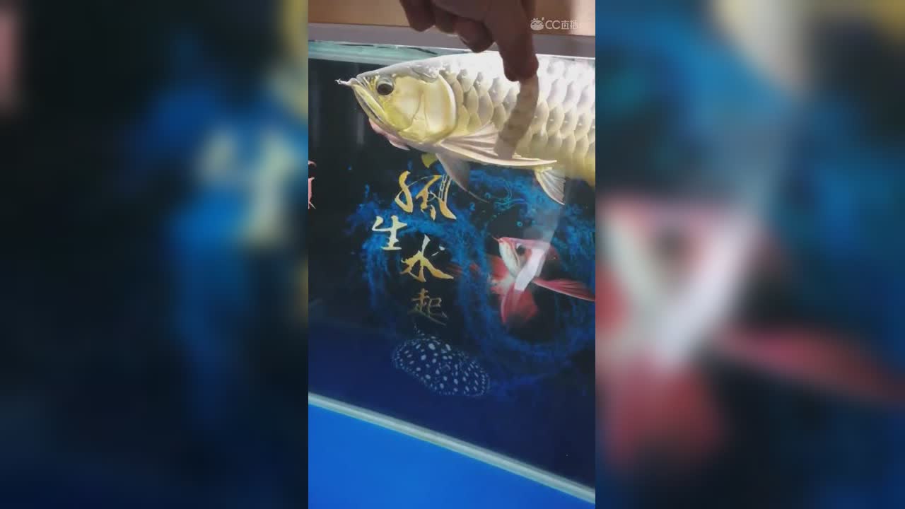视频封面