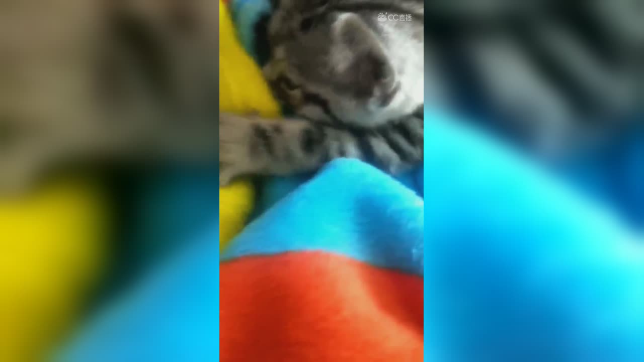 视频封面