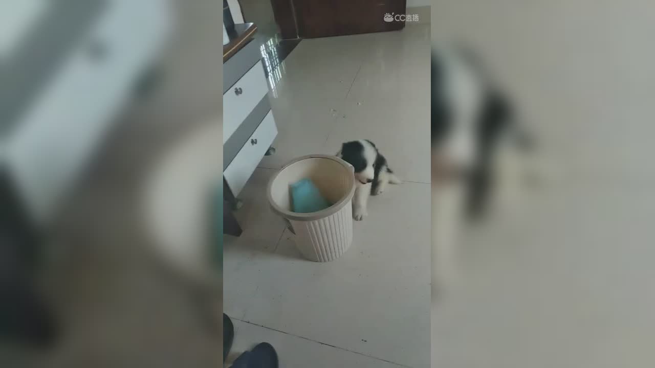 视频封面