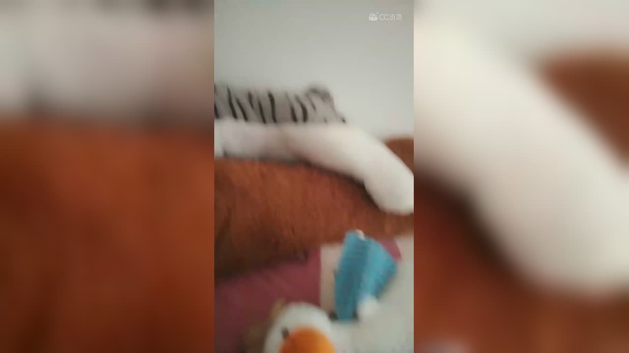 视频封面