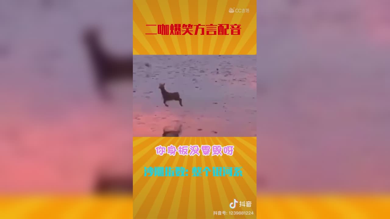 视频封面