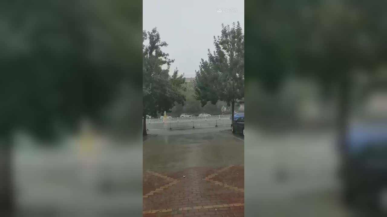 视频封面