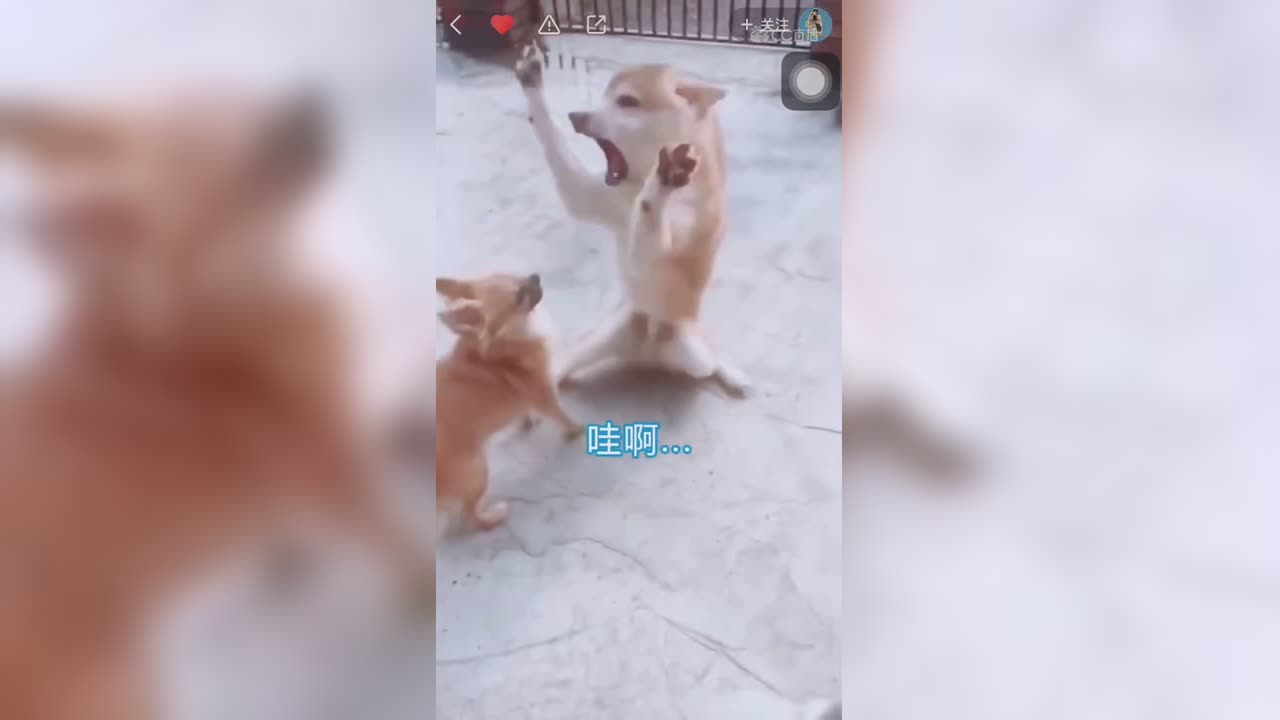 视频封面
