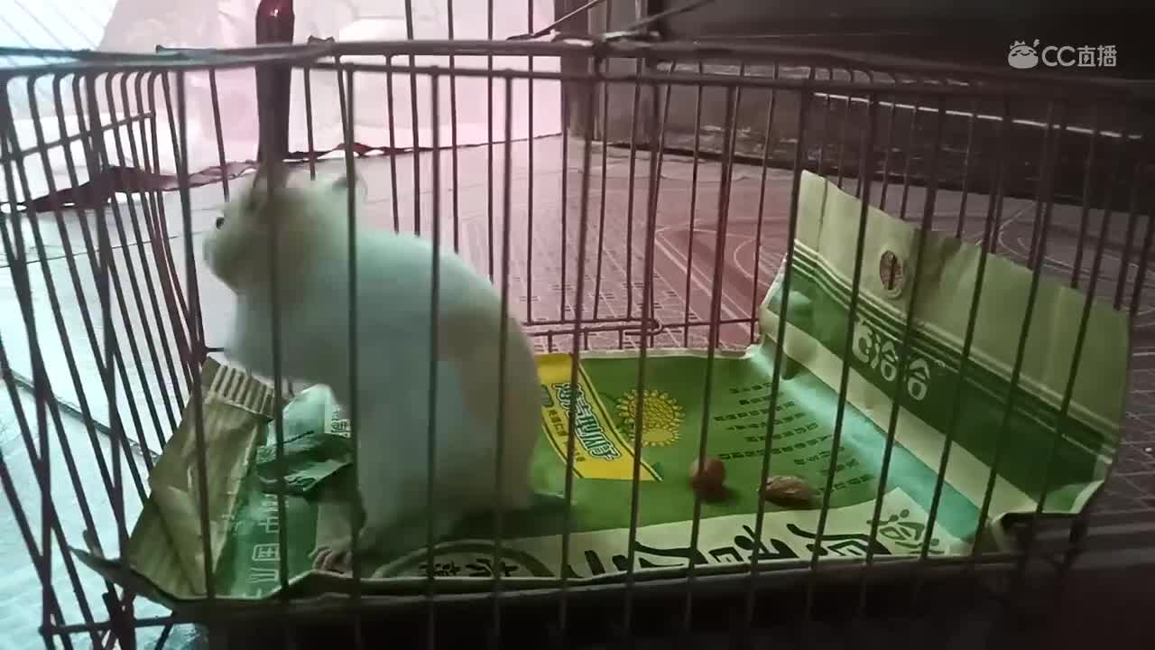 视频封面
