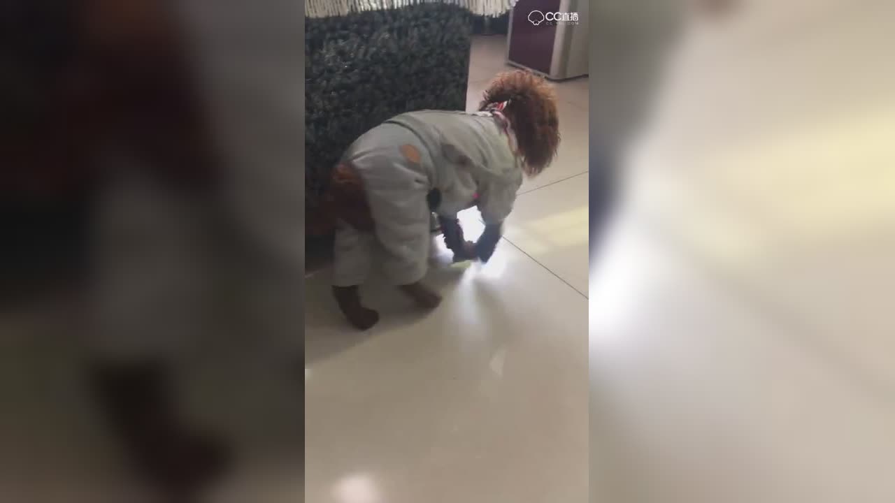 视频封面