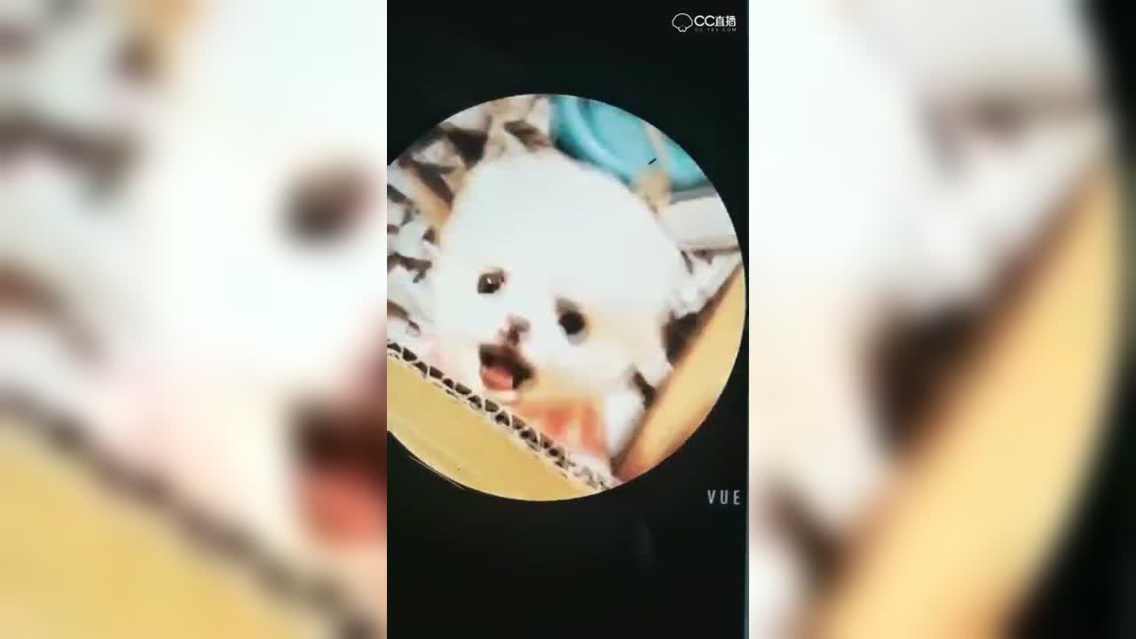 视频封面