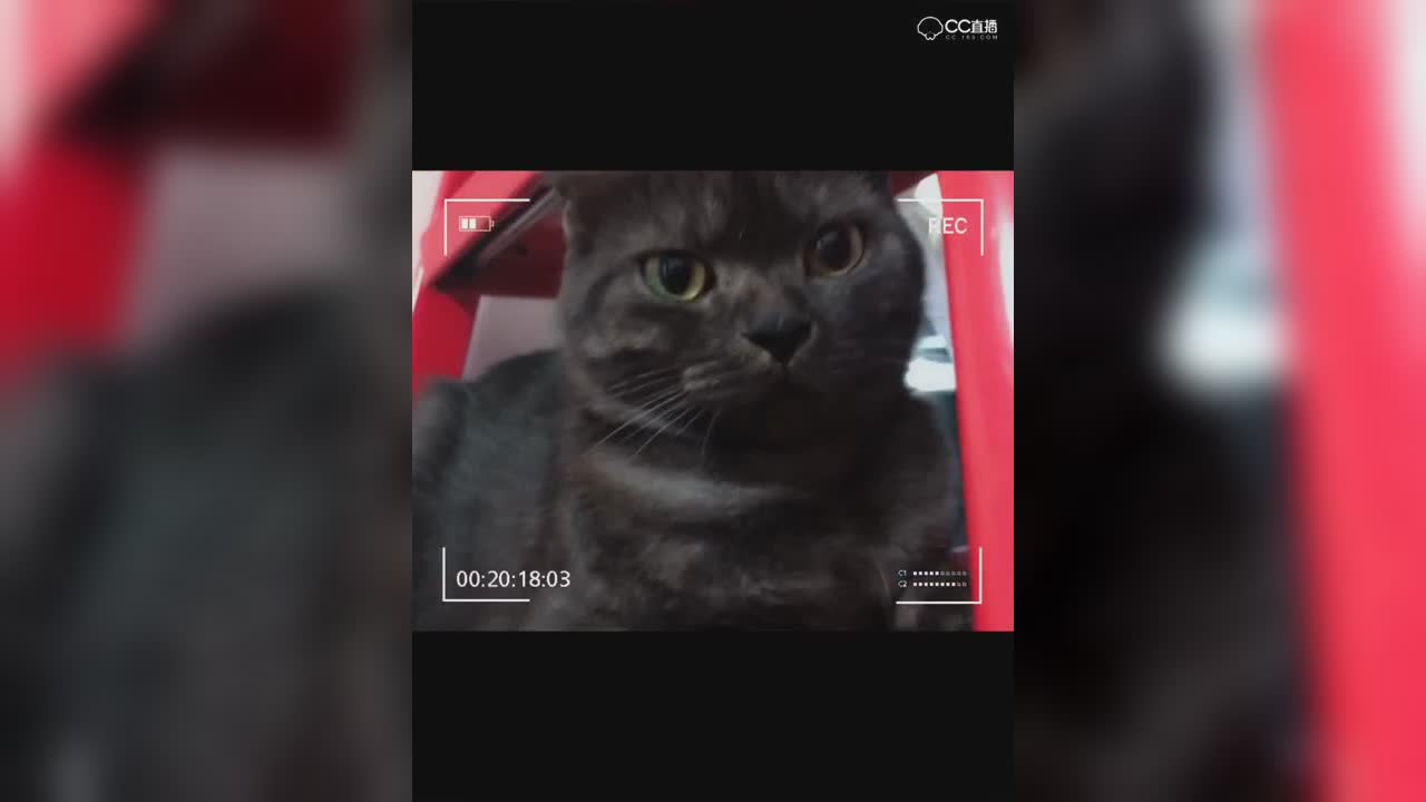 视频封面