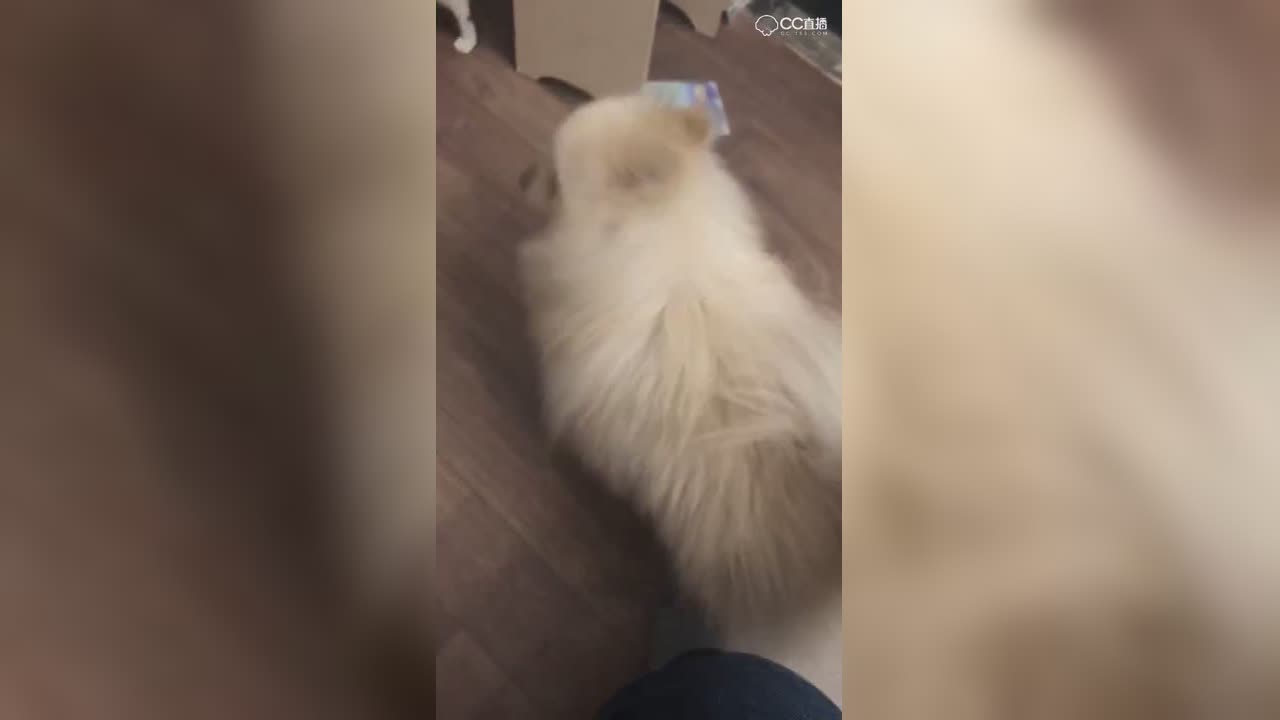 视频封面