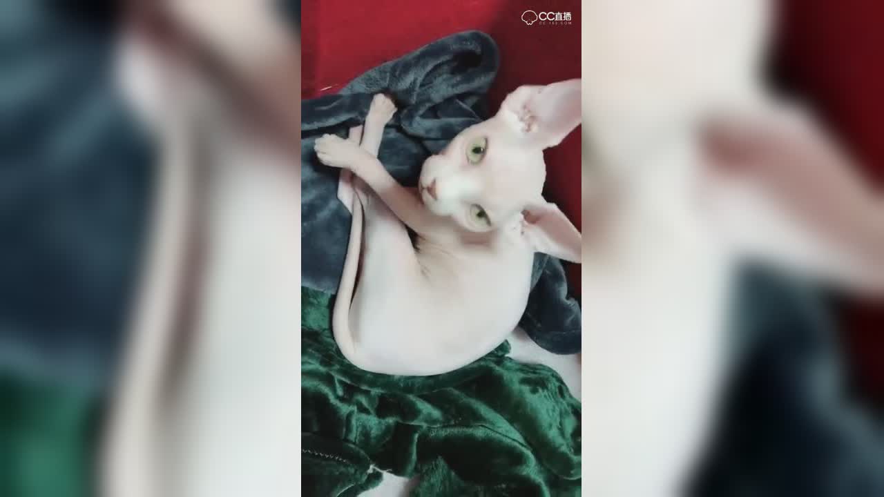 视频封面